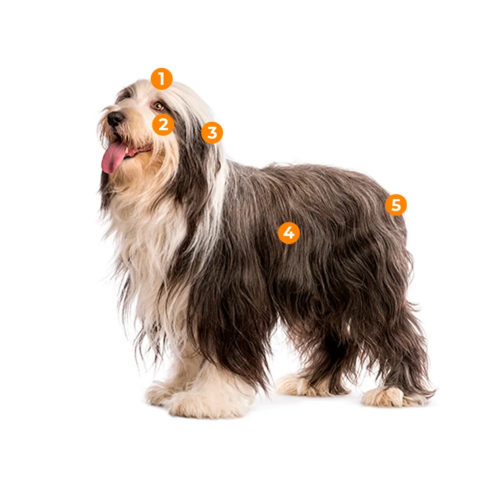 caracteristicas fisicas